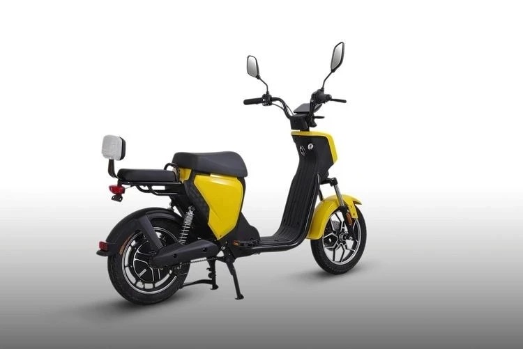 Scooter Electric